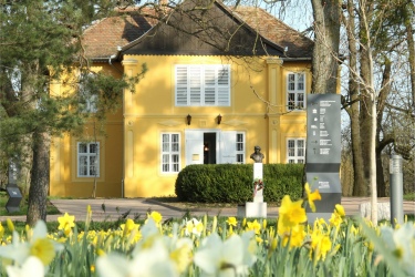 Kaposvár - Rippl Rónai múzeum